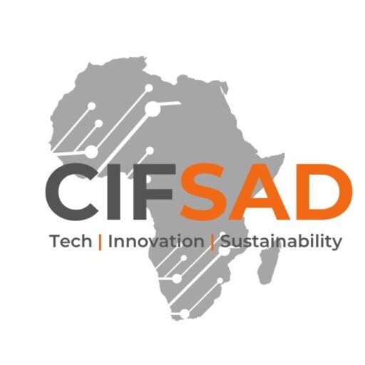 The Rise of Tech Entrepreneurs in Africa